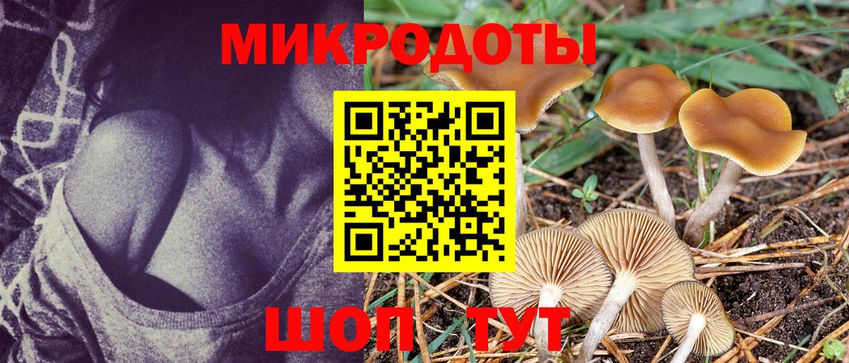 Электрогорск  Галлюциногенные грибы Psilocybe  Вход с VPN  Галлюциногенные грибы GOLDEN TEACHER 